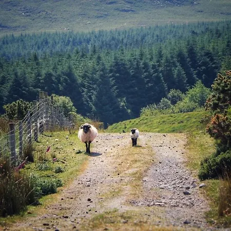 Heather 3 Bedroom Holiday home *